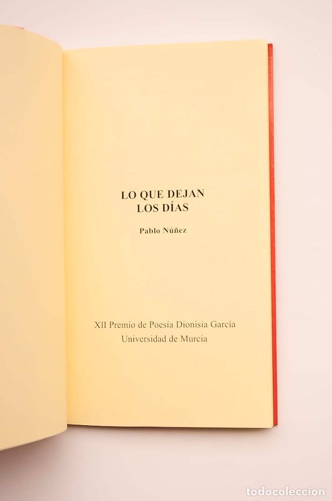 Libros: Lo que dejan los d&iacute;as - N&Uacute;&Ntilde;EZ, Pablo - Foto 2
