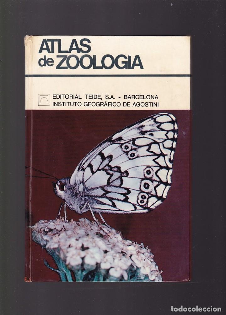 Libros: ATLAS DE ZOOLOGIA - EDITORIAL TEIDE 1973 - Foto 1