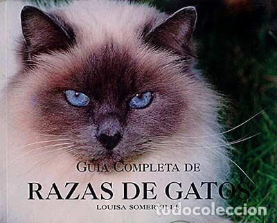 Libros: Gu&iacute;a completa de razas de gatos - Louisa Somerville - Foto 1