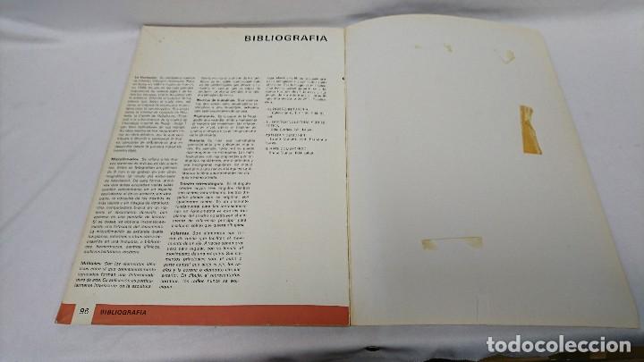 Libros: DIBUJO T&Eacute;CNICO, BUP 3&deg;,EDELVIVES,BARNECHEA - Foto 7