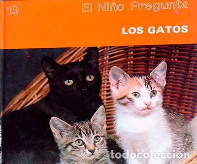 Libros: Los gatos - VVAA - Foto 1