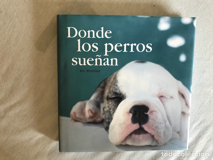 Libros: Donde los perros sue&ntilde;an. Kit Whitfield - Foto 1
