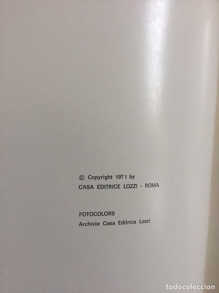 Libros: Miguel &Aacute;ngel Las Obras-La Capilla Sixtina - Foto 4