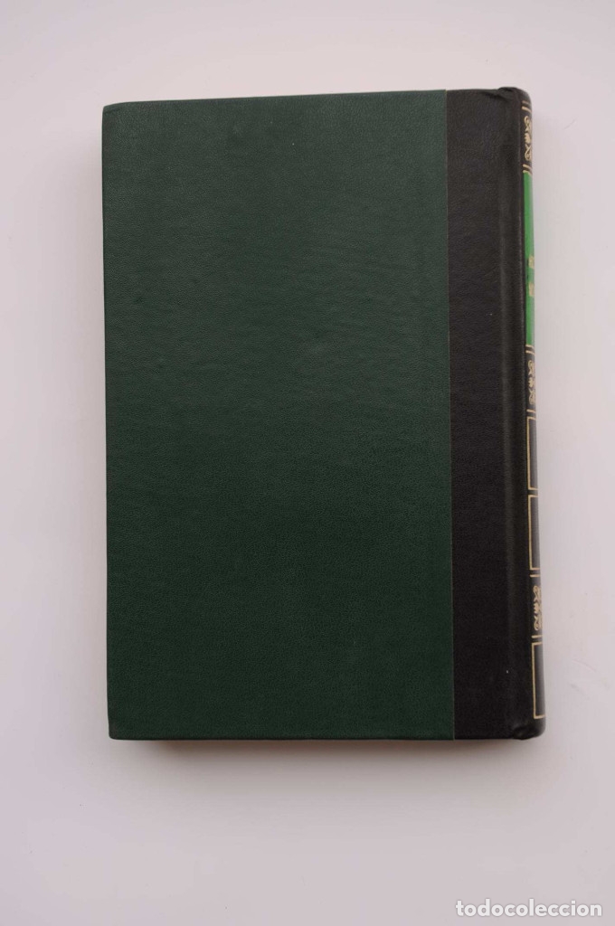 Libros: Hidalgo. Morelos - EDO, Concha - Foto 5