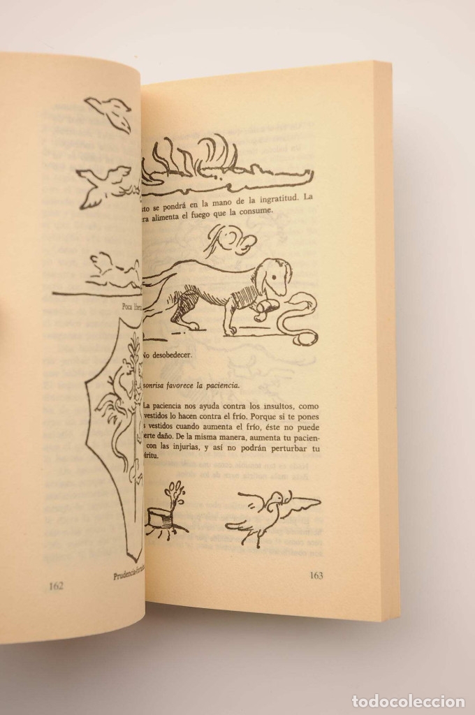Libros: Cuadernos de notas - VINCI, Leonardo da - Foto 3
