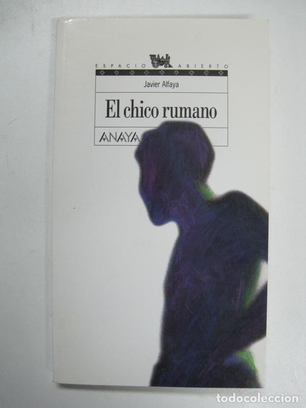 Libros: El chico rumano / Javier Alfaya - Foto 1