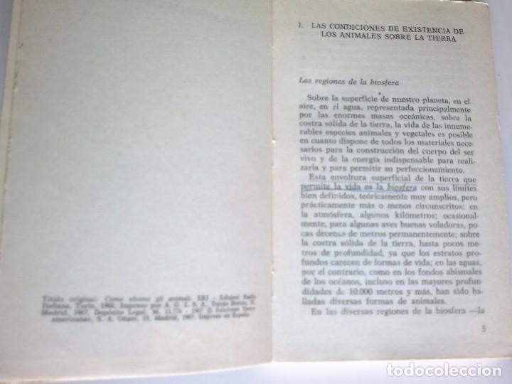 Libros: Como viven los animales. P. Pasquini. - Foto 4