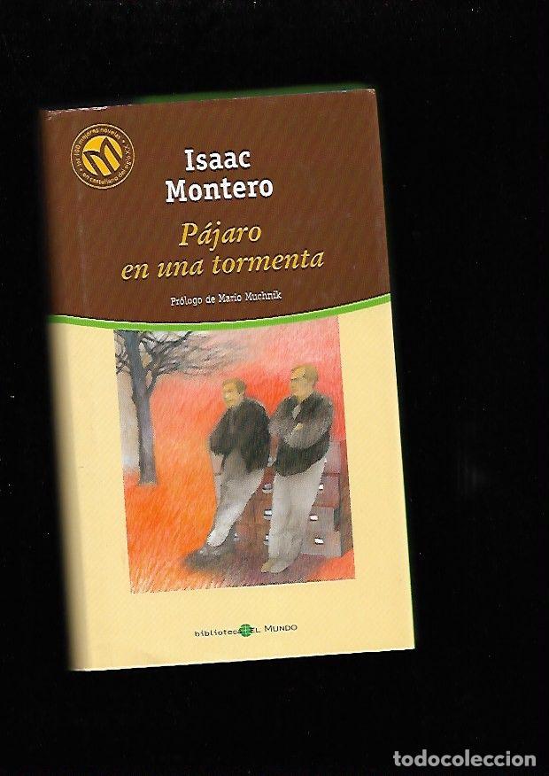 Libros: PAJARO EN UNA TORMENTA - MONTERO, ISAAC - Foto 1
