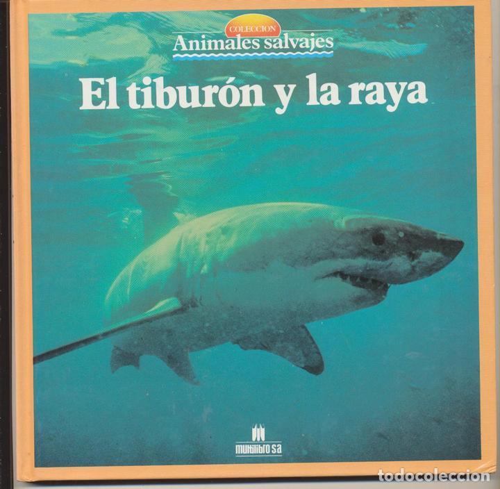 Libros: Animales Salvajes n&ordm; 11. El tibur&oacute;n y la raya. SIN USAR. - Foto 1