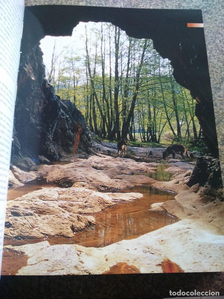 Libros: GALICIA DE CUENTO -- GALICIA PARA SO&Ntilde;AR -- HERCULES EDICIONES 2005 -- - Foto 3