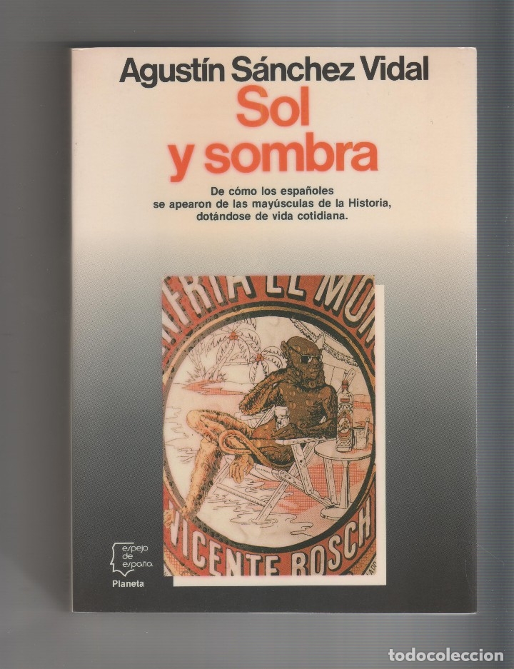 Libros: Sol y sombra - S&Aacute;NCHEZ VIDAL, Agust&iacute;n - Foto 1