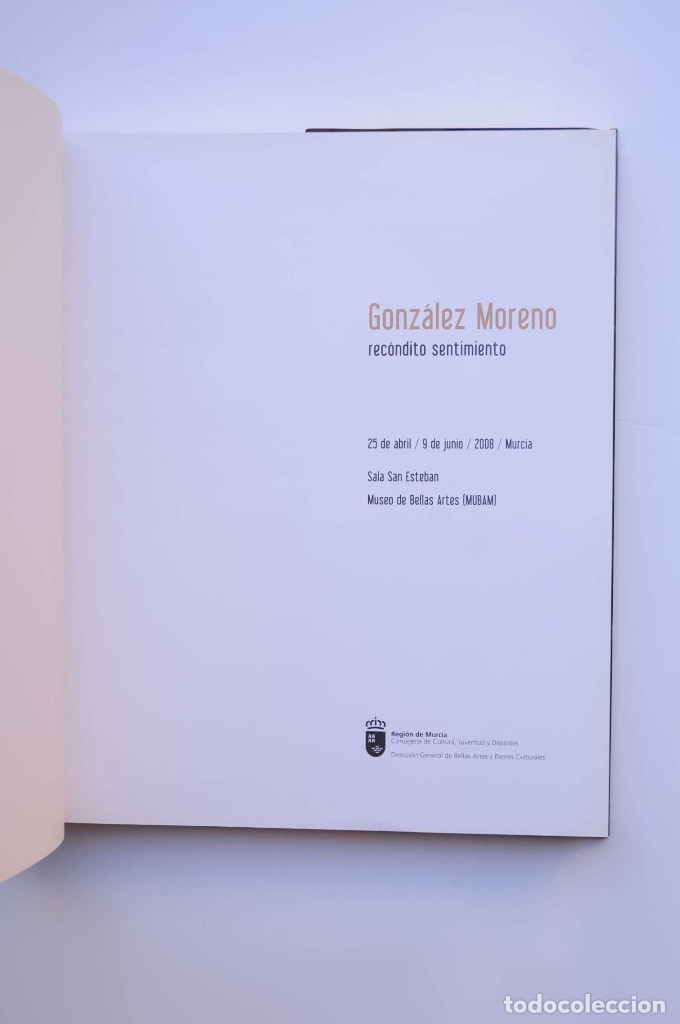 Libros: Gonz&aacute;lez Moreno. Rec&oacute;ndito Sentimiento - GONZ&Aacute;LEZ MORENO - Foto 3
