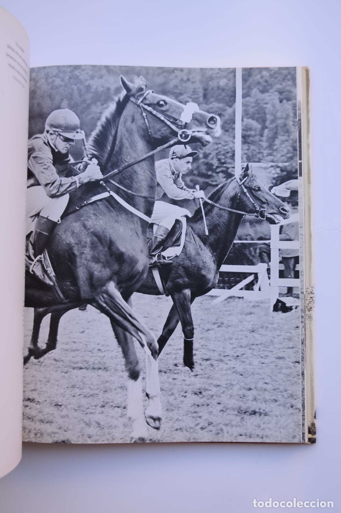 Libros: El gran libro del caballo - ISENBART, Han Heinrich - Foto 5