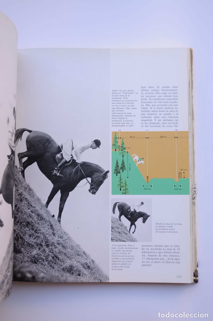 Libros: El gran libro del caballo - ISENBART, Han Heinrich - Foto 6