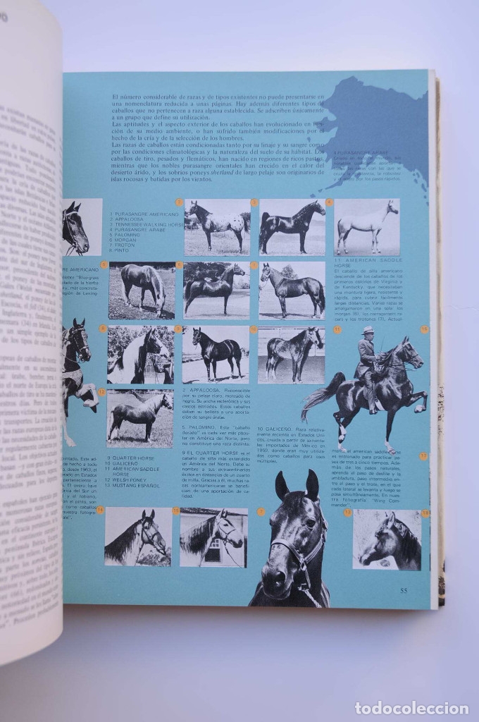 Libros: El gran libro del caballo - ISENBART, Han Heinrich - Foto 8