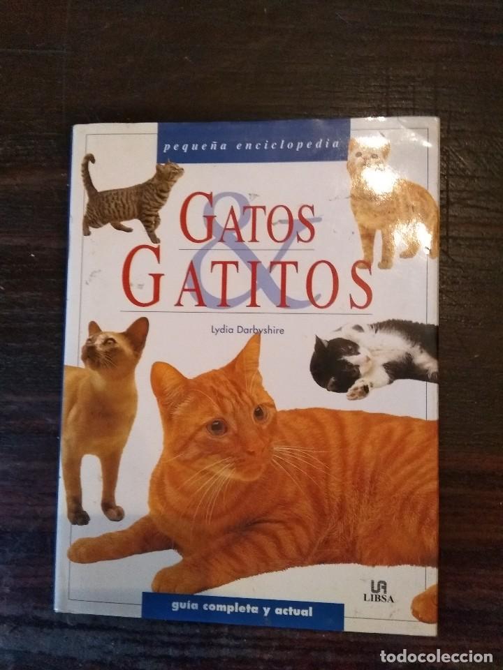 Libros: GATOS Y GATITOS. LYDIA DARBYSHIRE EDITORIAL LIBSA 2001 - Foto 1