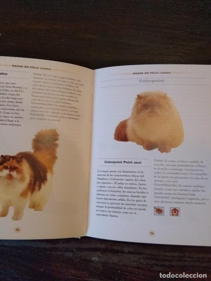 Libros: GATOS Y GATITOS. LYDIA DARBYSHIRE EDITORIAL LIBSA 2001 - Foto 2