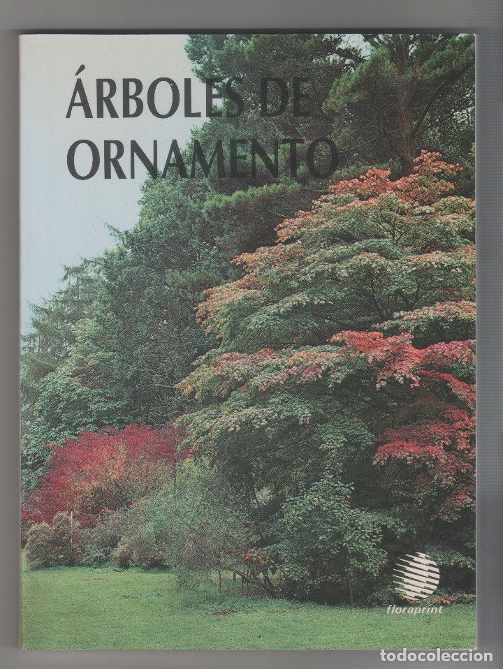 Libri di seconda mano: &Aacute;rboles de ornamento. - LANCASTER, Roy: