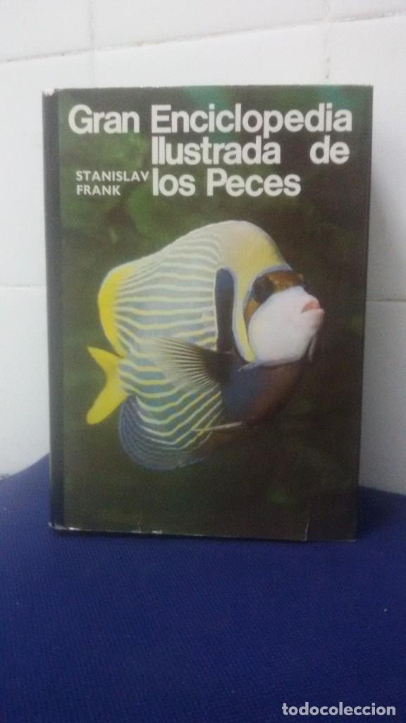 Libros: GRAN ENCICLOPEDIA ILUSTRADA DE LOS PECES &ndash; STANISLAV FRANK &ndash; CIRCULO DE LECTORES - Foto 1