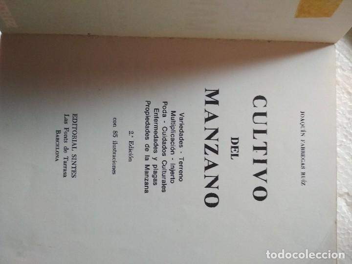 Libros: CULTIVO DEL MANZANO - JOAQUIN F&Aacute;BREGAS - Foto 2