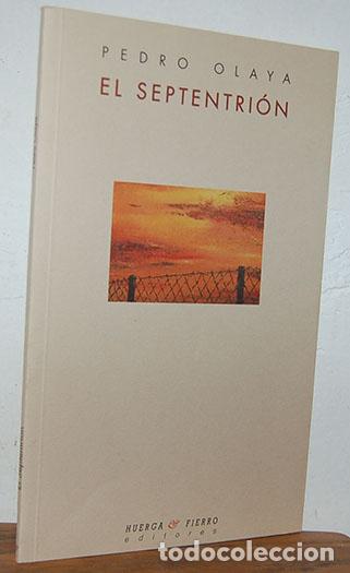 Libros: EL SEPTENTRI&Oacute;N - PEDRO OLAYA - Foto 1