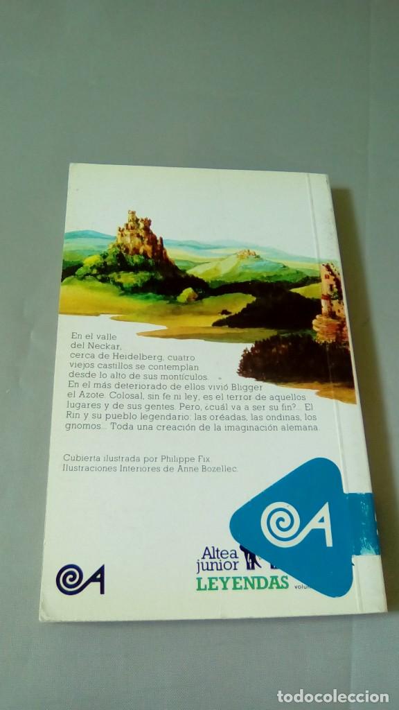Libros: BLIGGER EL AZOTE. LEYENDAS DEL RIN.- VICTOR HUGO - Foto 2