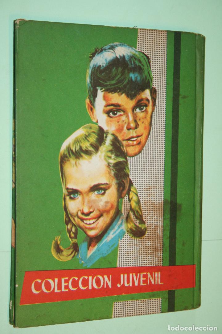 Libros: SCHUBERT (Ilde Gir)  *** COLECCION JUVENIL *** EDITORIAL FERMA (1966) - Foto 2