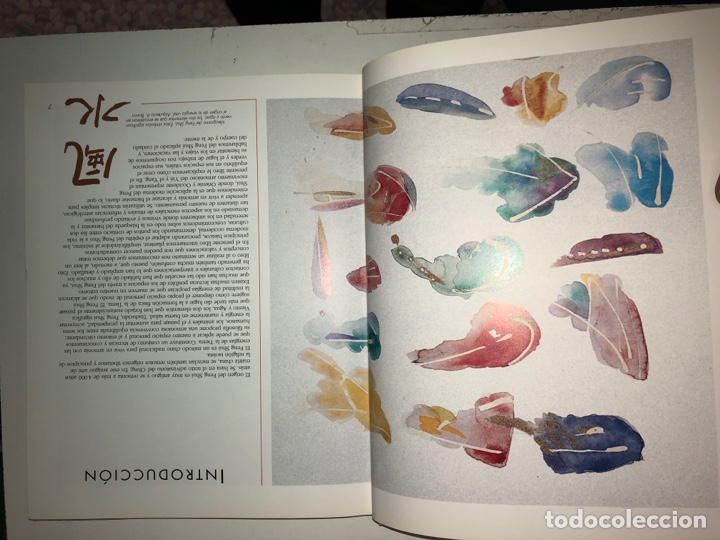 Libros: FENG SHUI PARA LA VIDS MODERNA. NATHALIE ANNE DODD. ED. DE VECCHI. - Foto 2