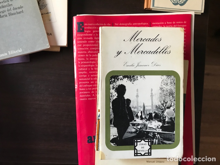 Libros: Mercados y mercadillos. Emilio Jim&eacute;nez - Foto 1