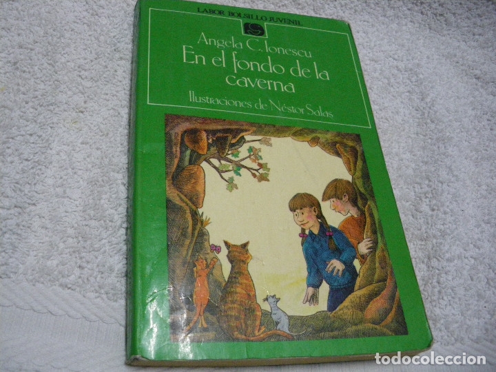 Libros: En el fondo de la caverna - &Aacute;ngela C. Ionescu - Foto 1