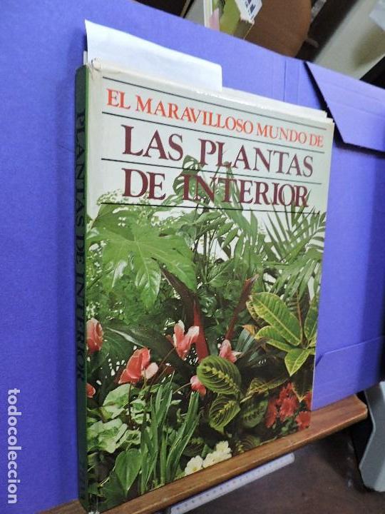 Livros em segunda m&atilde;o: El maravilloso mundo de las plantas de interior.