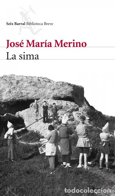 Libros: La sima - Jos&eacute; Mar&iacute;a Merino - Foto 1