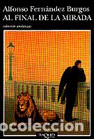Libros: Al final de la mirada - Alfonso Fern&aacute;ndez Burgos - Foto 1