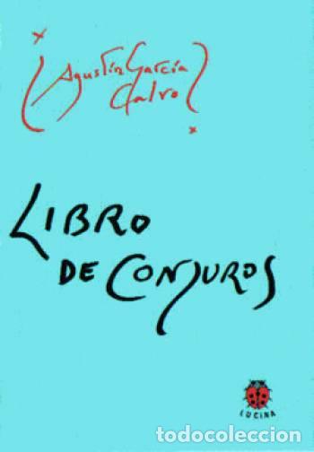 Libros: Libro de los conjuros - Agust&iacute;n Garc&iacute;a Calvo - Foto 1