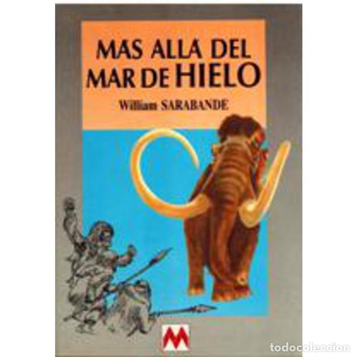 Libros: M&aacute;s all&aacute; del mar de hielo - William Sarabande - Foto 1