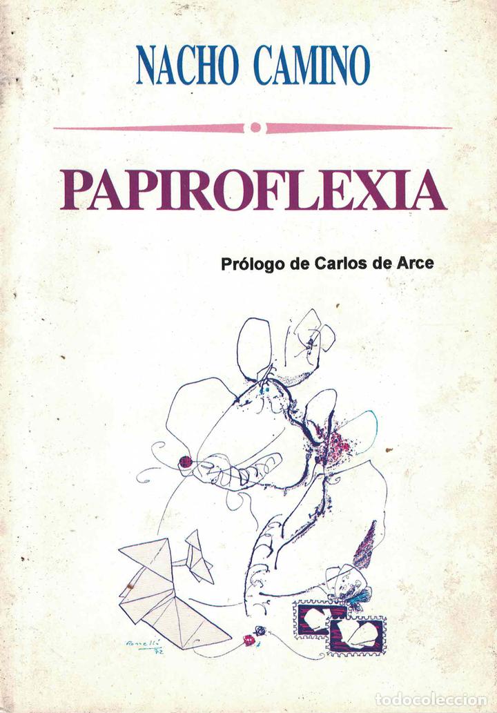 Libros: Papiroflexia - Nacho Camino - Foto 1