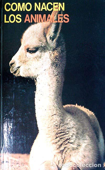 Libros: Como nacen los animales - Bernard Gaudin - Foto 1