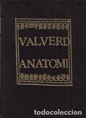 Libros: Historia de la anatomia - VALVERDE, GIOVANNI - Foto 1