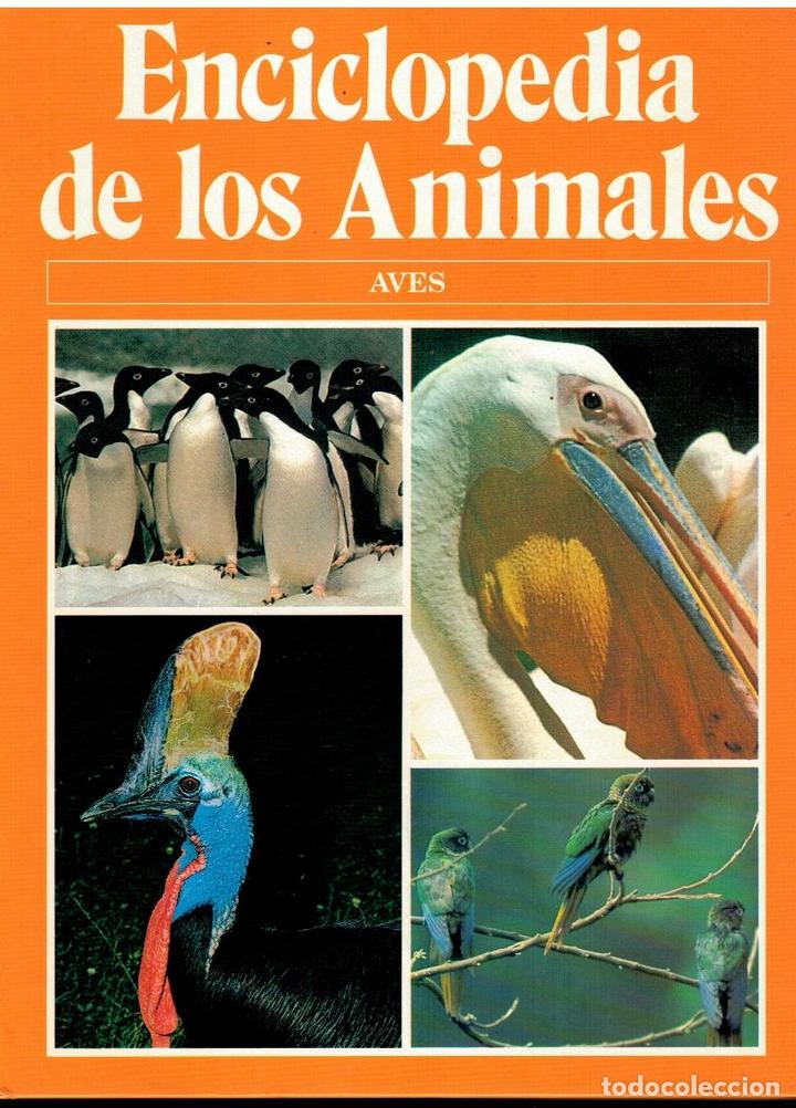 Libros: ENCICLOPEDIA DE LOS ANIMALES. AVES. - Foto 1
