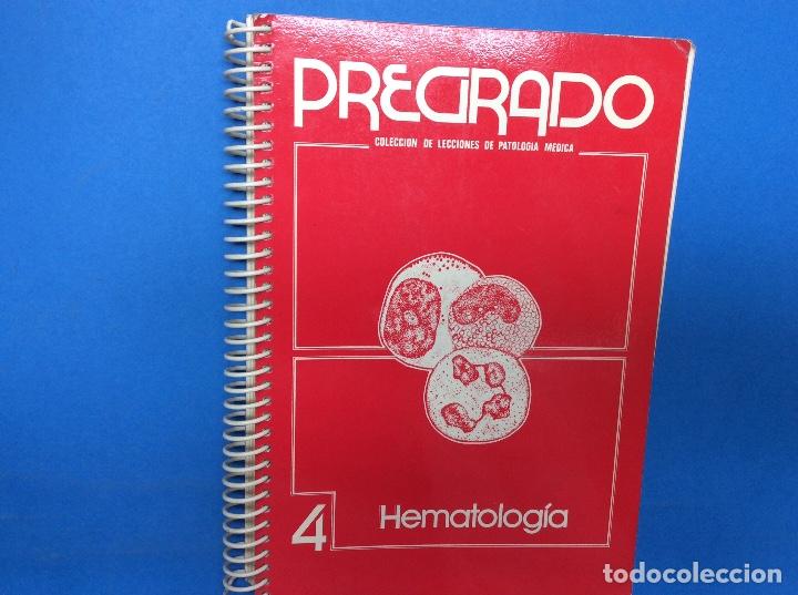 Libros: Pregrado 4 Hematologia - 1982 - Foto 1