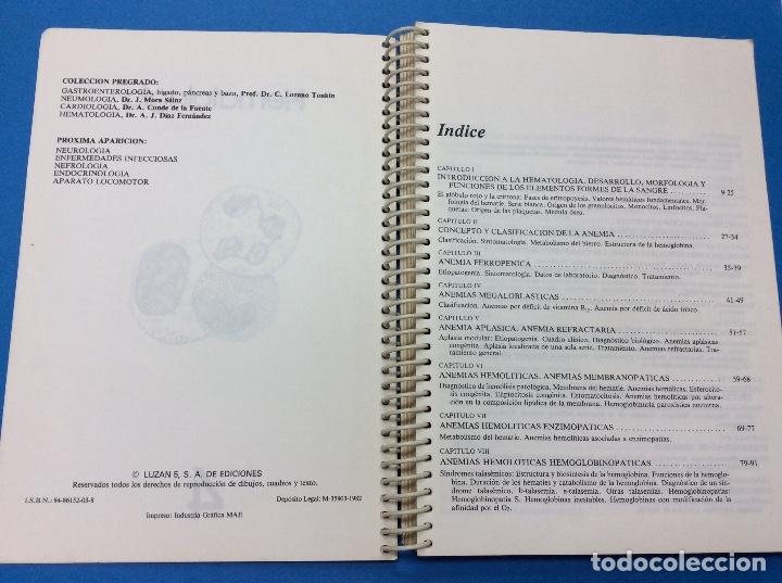 Libros: Pregrado 4 Hematologia - 1982 - Foto 3