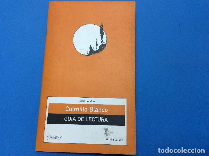 Libros: Colmillo Blanco Gu&iacute;a De Lectura - 2004 - Foto 1