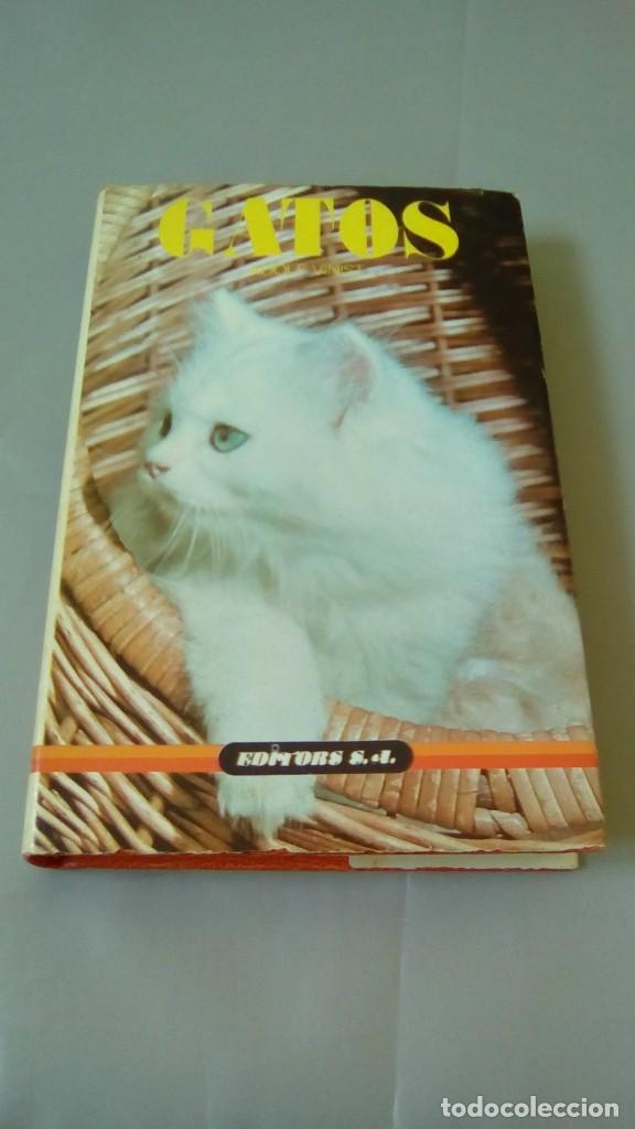 Libros: GATOS.- ADOLF VINIST - Foto 1