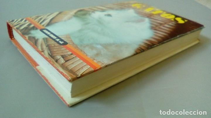 Libros: GATOS.- ADOLF VINIST - Foto 3