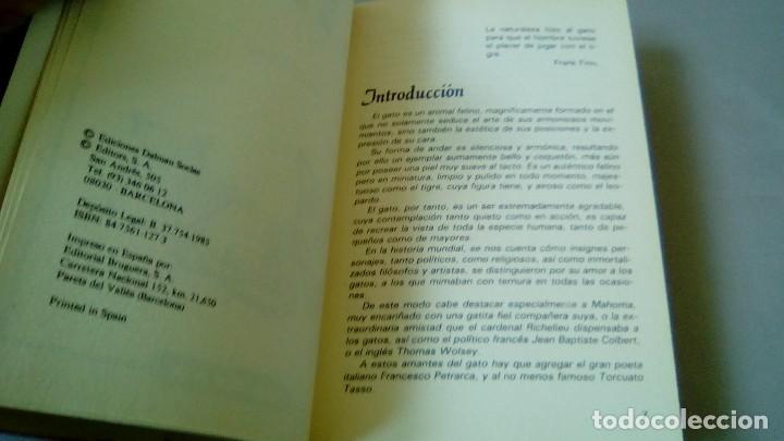 Libros: GATOS.- ADOLF VINIST - Foto 4