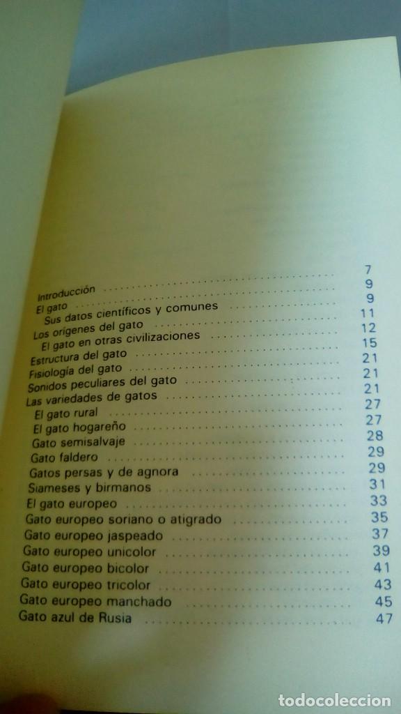 Libros: GATOS.- ADOLF VINIST - Foto 5