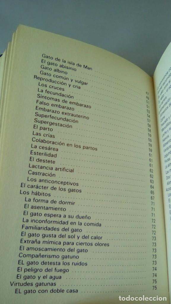 Libros: GATOS.- ADOLF VINIST - Foto 6