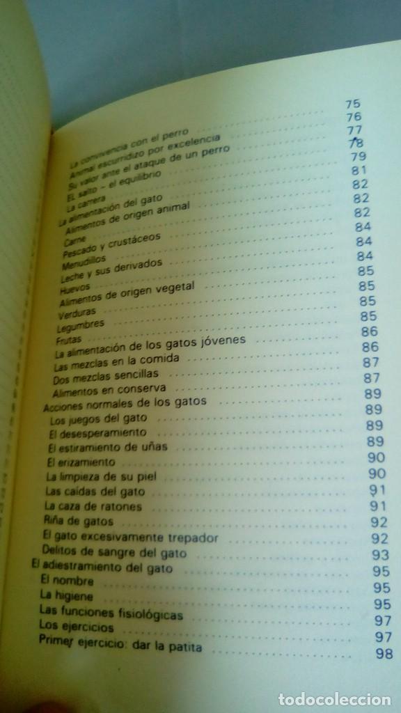 Libros: GATOS.- ADOLF VINIST - Foto 7
