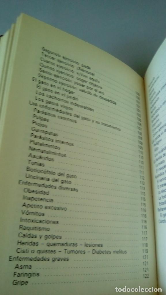 Libros: GATOS.- ADOLF VINIST - Foto 8