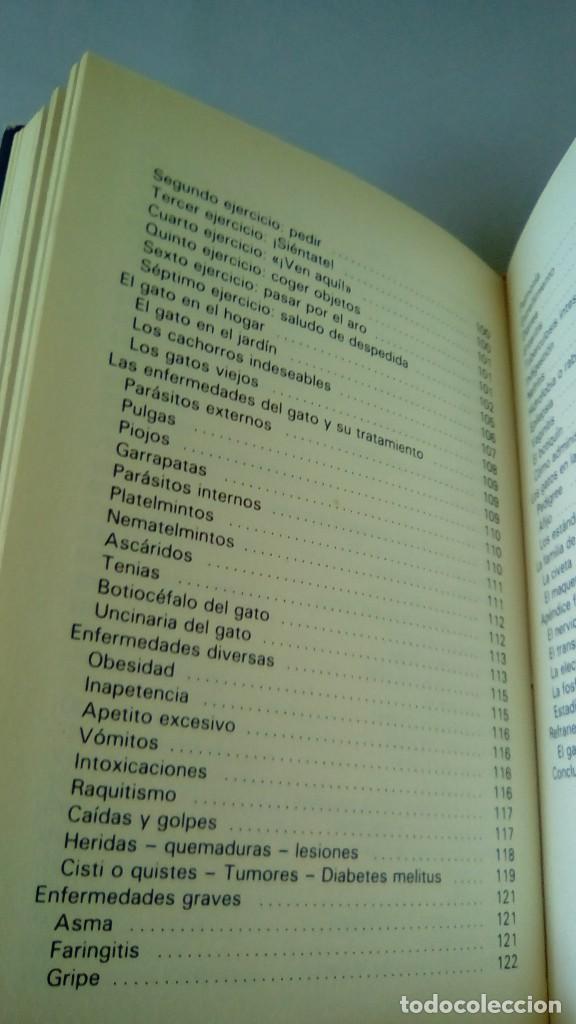 Libros: GATOS.- ADOLF VINIST - Foto 9